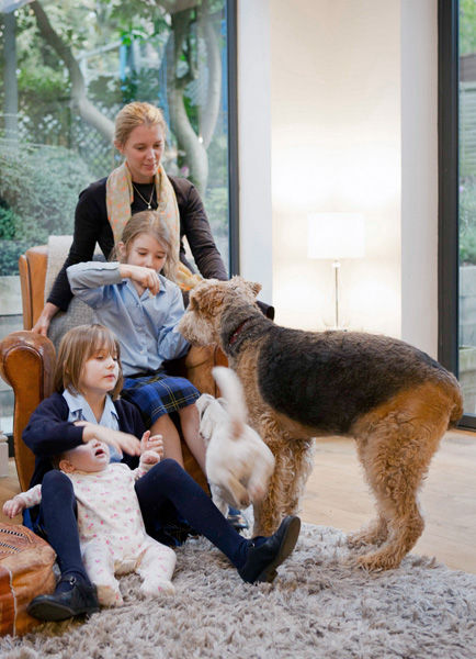 family portrait with dogs with interior setting