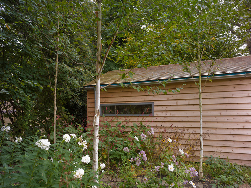 Garden Office / Gallery / Den external perspective clad in larch wood surrounded by trees
