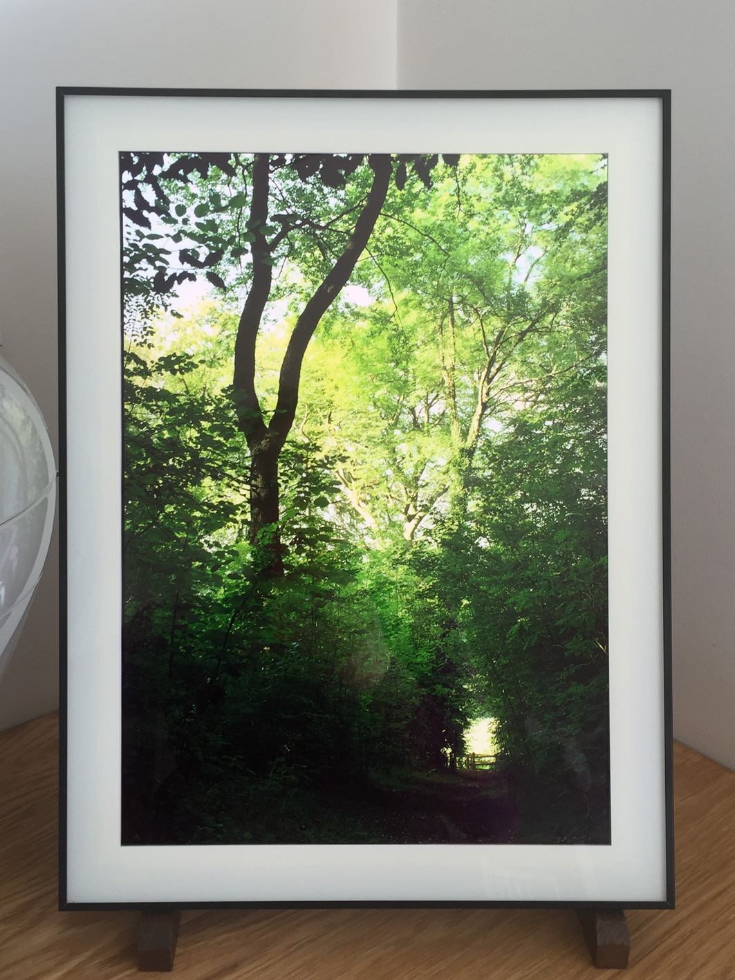 'In the Forest' series mock-up Lightbox for discussion
