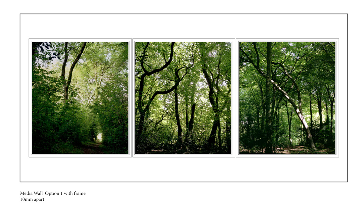 'In the Forest' series Lightbox proposal within a wall recess