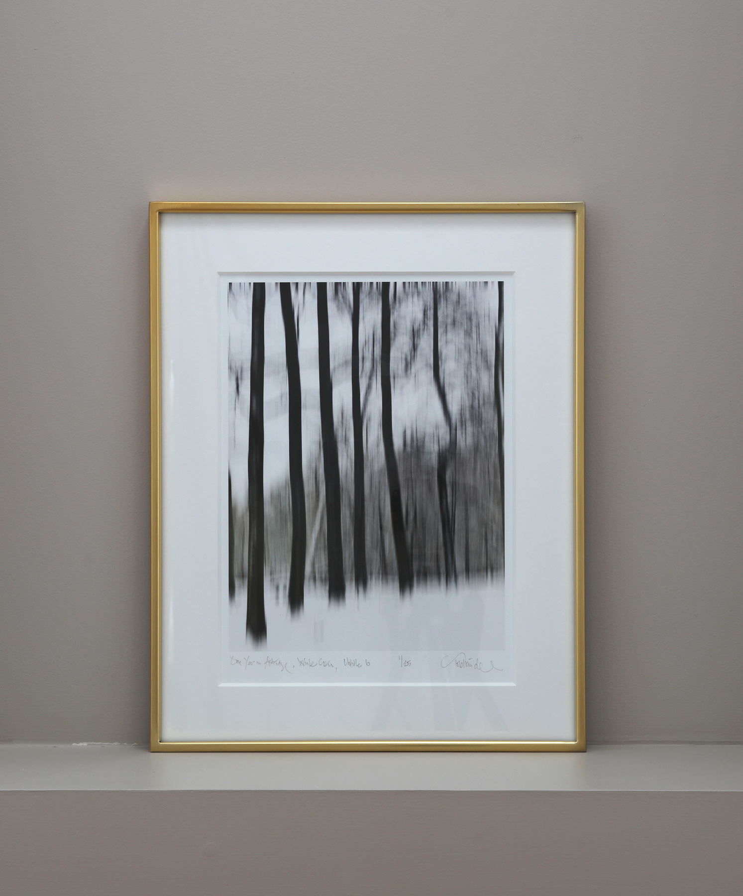 Winter series, No. 4 Framed in brushed gold frame